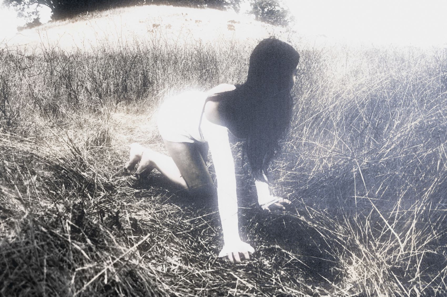 IMG 7096 Edit 2