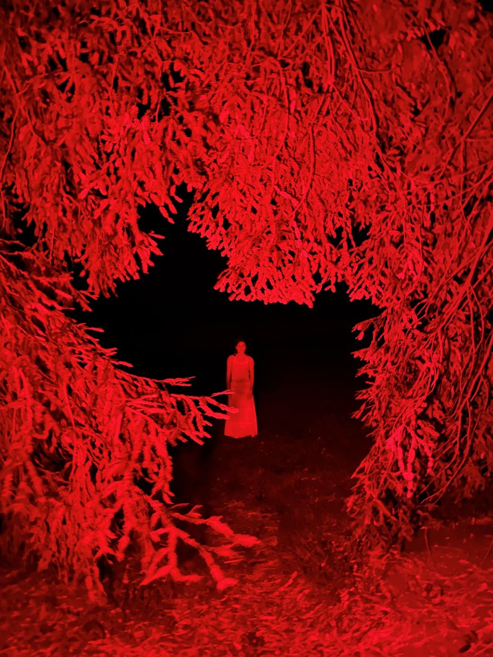 Addie in the red trees